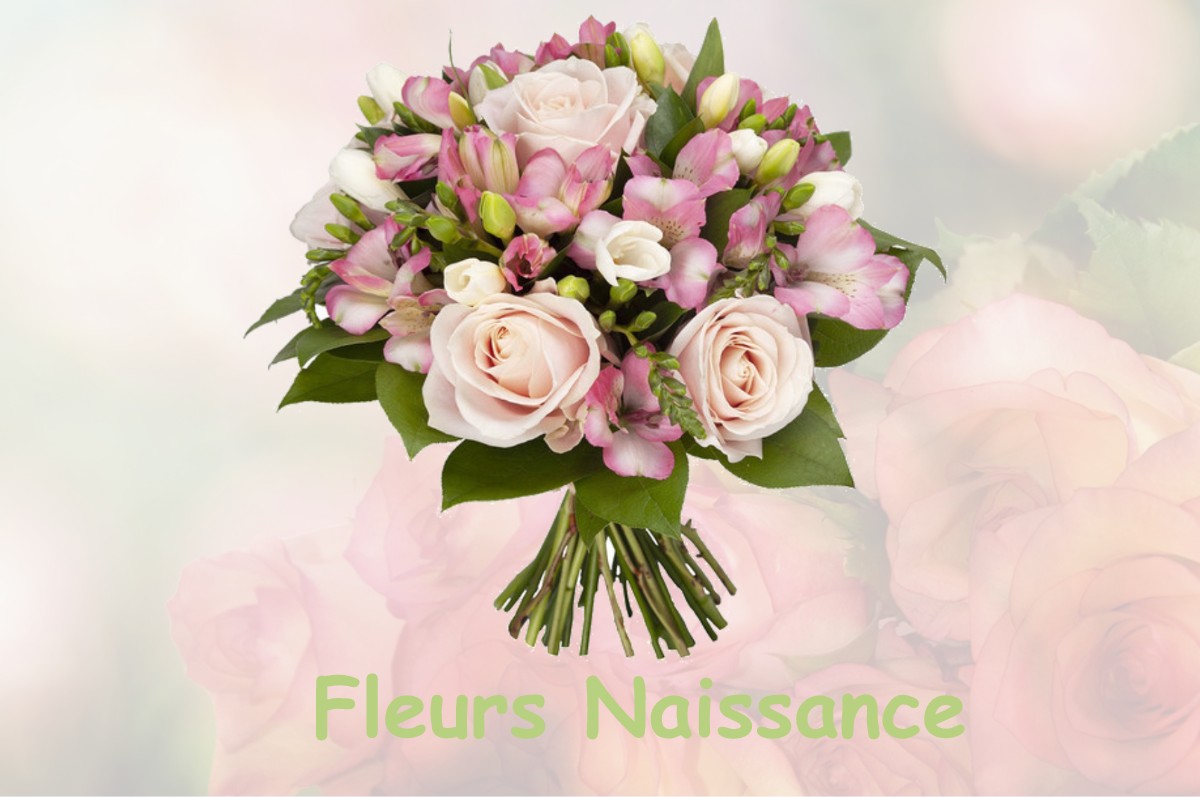 fleurs naissance FLERE-LA-RIVIERE